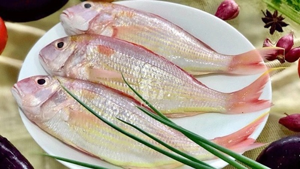 Cá rất ngon bổ nhưng có 4 loại không nên ăn vì chứa hàm lượng thủy ngân cao, dễ gây ngộ độc và ung thư-1