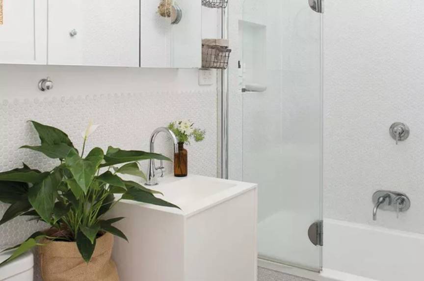 6 loại cây đặt trong phòng tắm giúp thanh lọc không khí, khử mùi hôi hiệu quả-5