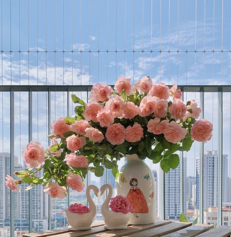 Cắm hoa hồng đừng chỉ dùng nước lã: Cho 1 thìa này vào bình, hoa nở bung, cả tuần vẫn tươi-3