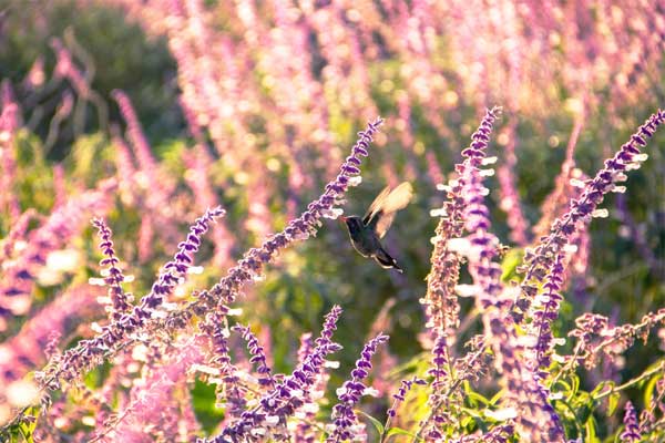 Ai có giờ sinh này kiên định, lạc quan, biến khó khăn thành may mắn, sự nghiệp sớm cất cánh-2