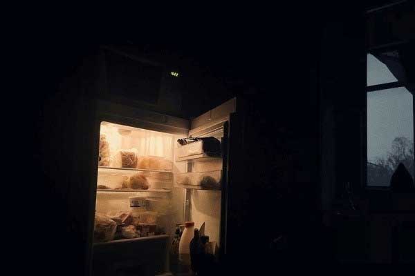 Con trai giấu xác mẹ trong tủ lạnh 5 năm để lấy tiền trợ cấp-1