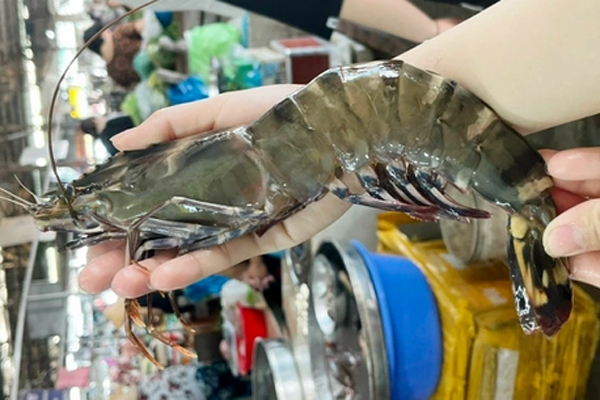 Đắt hơn tôm hùm, gần 3 triệu/kg, khách ăn bon mồm chờ mua bằng được-3