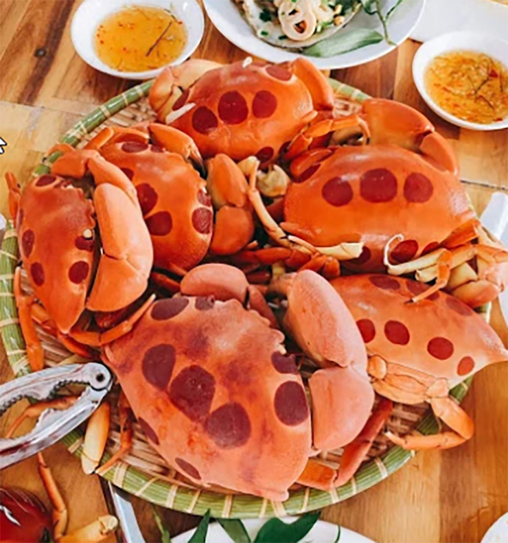 Loại cua lạ chỉ có ở Bình Thuận, vô cùng khan hiếm, 500.000/kg khách tranh nhau mua-4