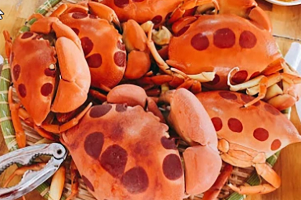 Những loại cua quý hiếm, ngon trứ danh ở Việt Nam-8