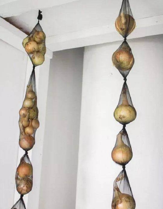 Nếu có tất cũ bạn đừng vội vứt bỏ, đem treo ở trong nhà cực hữu ích, biết càng sớm càng tốt-10