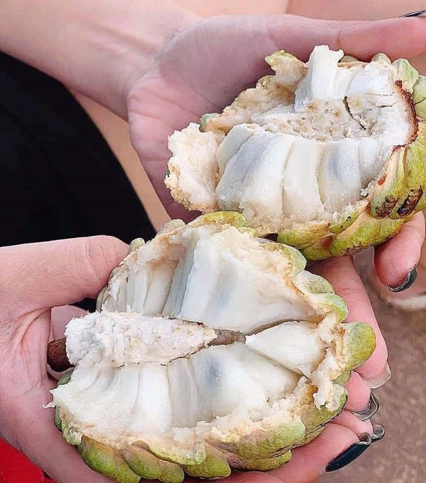 Loại quả xưa thất sủng” giờ thành đặc sản có giá lên tới hơn 230 nghìn đồng/kg-3