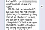 Thực hư thông tin học sinh Đà Nẵng không tiêm vaccine COVID-19 thì không được học bán trú