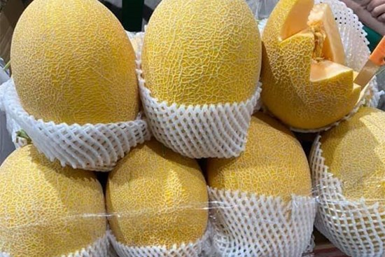Top đầu thế giới, dưa lưới Trung Quốc lăn tràn chợ Việt