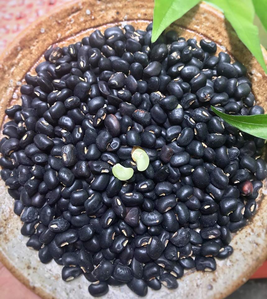 Để ninh đậu đỏ, đậu đen nhanh nhừ, trước khi nấu làm thêm 1 bước: Chỉ 10 phút là hạt chín mềm, không nát-4