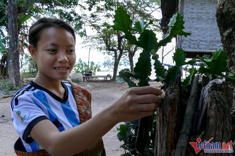 Nhà sư Lào đi khất thực mỗi sáng-9