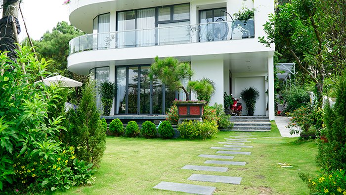 Các cụ dặn cấm sai: Trước cửa nhà có 2 thứ xanh mát, lộc nhiều như nước, cả nhà gặp may-1