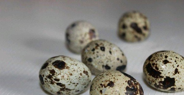 Món ăn được ví như nhân sâm, bổ sung canxi tuyệt vời, trẻ em ăn là mê-5