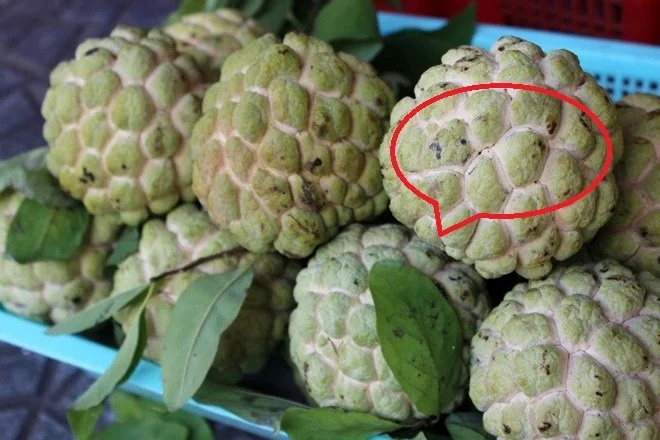 Người trồng na 20 năm cho biết: Muốn chọn na dai ngon ngọt vừa dày cùi, lại ít hạt cứ nhìn vào điểm này-1