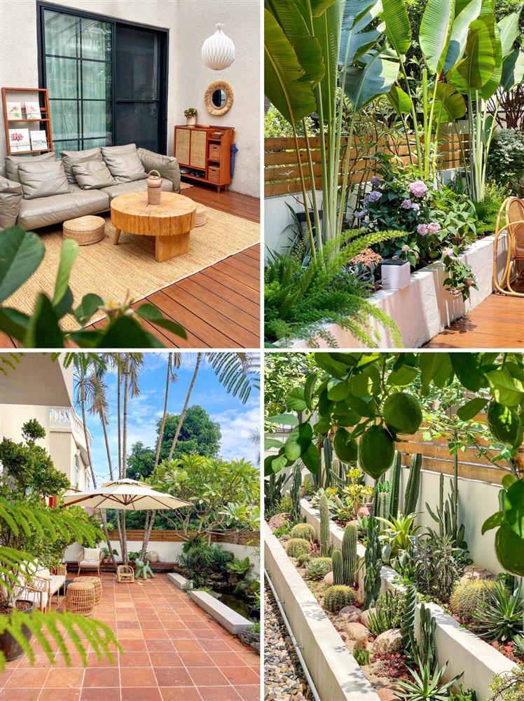 Mẹ đảm tự tay cải tạo khoảng sân rộng 170m² thành khu vườn sinh thái tự nhiên, đầy sức sống-3