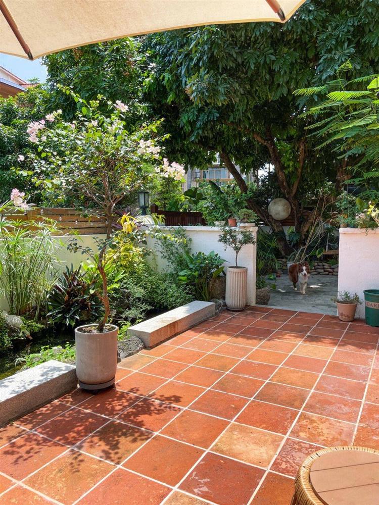 Mẹ đảm tự tay cải tạo khoảng sân rộng 170m² thành khu vườn sinh thái tự nhiên, đầy sức sống-4