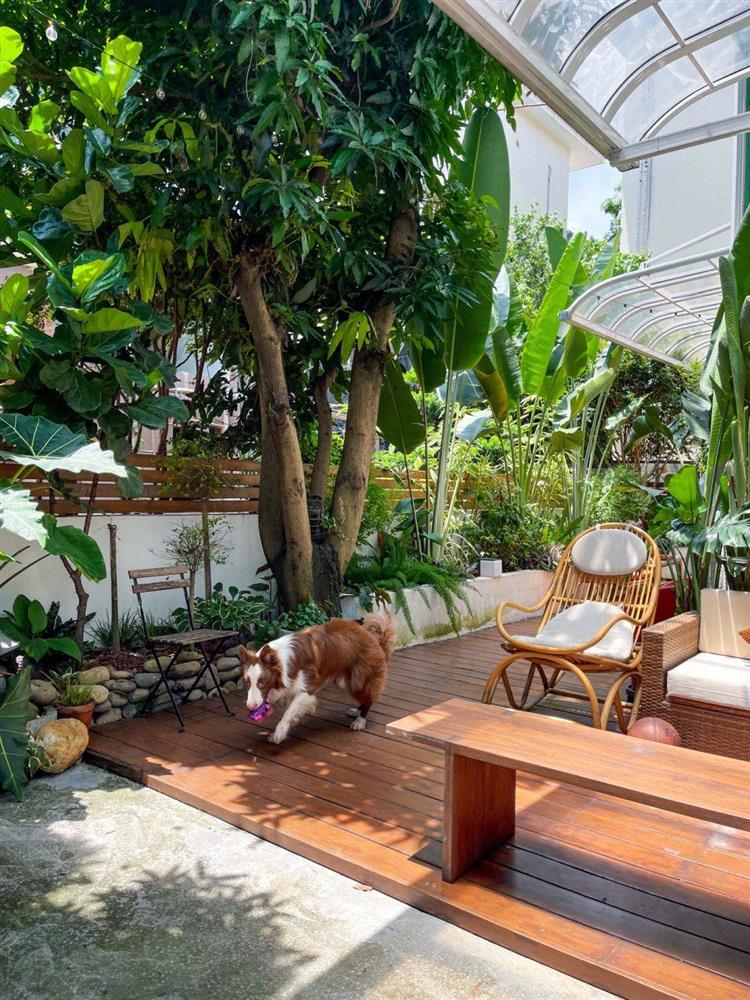 Mẹ đảm tự tay cải tạo khoảng sân rộng 170m² thành khu vườn sinh thái tự nhiên, đầy sức sống-10