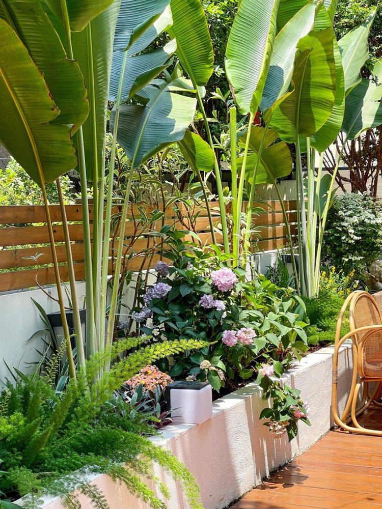 Mẹ đảm tự tay cải tạo khoảng sân rộng 170m² thành khu vườn sinh thái tự nhiên, đầy sức sống-12