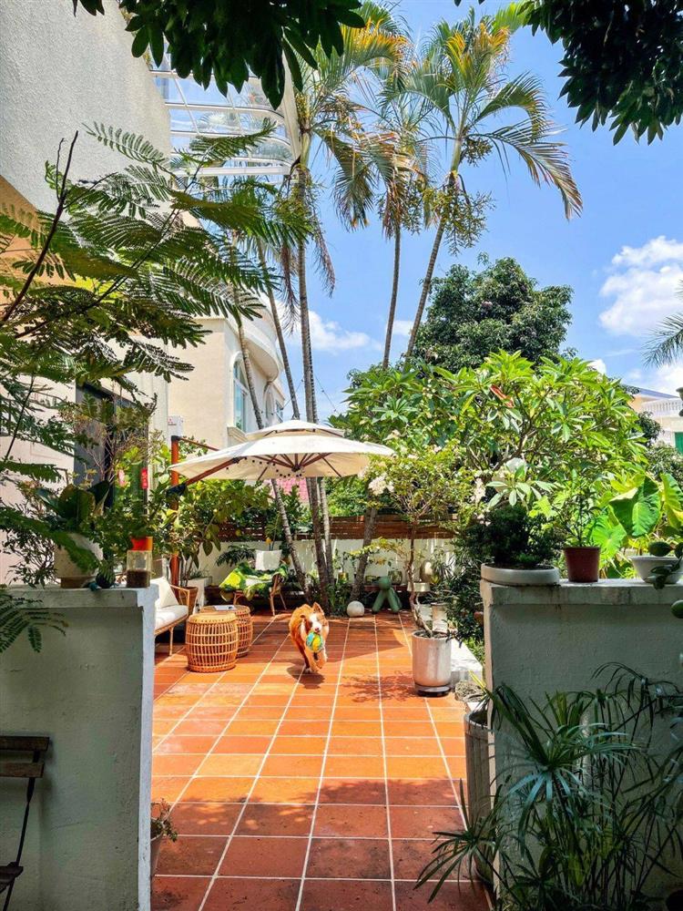 Mẹ đảm tự tay cải tạo khoảng sân rộng 170m² thành khu vườn sinh thái tự nhiên, đầy sức sống-7