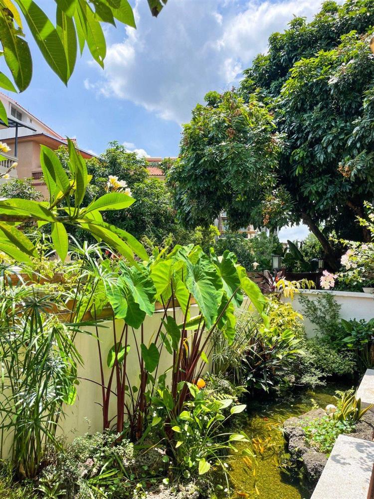 Mẹ đảm tự tay cải tạo khoảng sân rộng 170m² thành khu vườn sinh thái tự nhiên, đầy sức sống-9