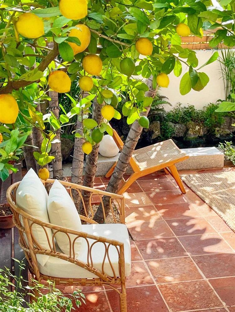 Mẹ đảm tự tay cải tạo khoảng sân rộng 170m² thành khu vườn sinh thái tự nhiên, đầy sức sống-19