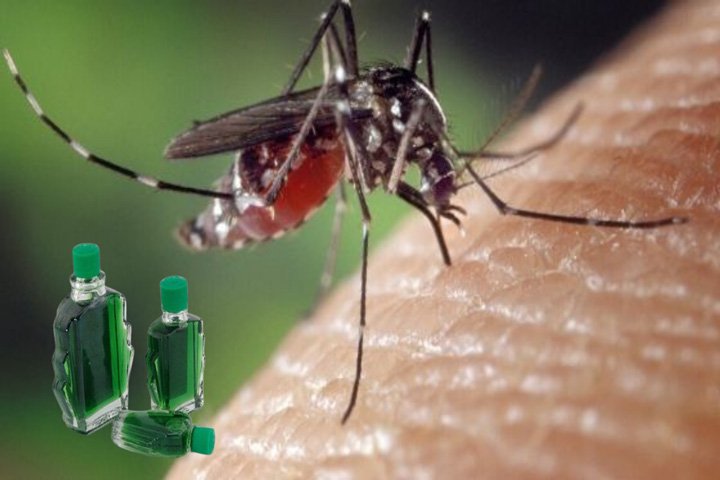 Đổ dầu gió vào giấm trắng: Công dụng tuyệt vời giải quyết nhiều vấn đề nhà nào cũng cần dùng đến-2