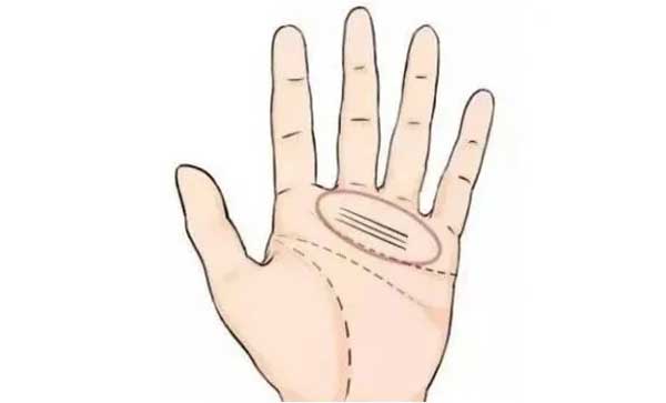 3 kiểu vân tay phú quý, định sẵn vận mệnh giàu sang ở phụ nữ-3