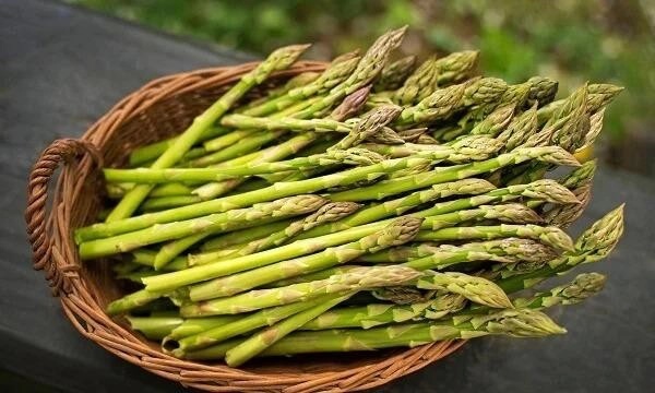 Loại rau được mệnh danh ‘rau hoàng đế’, rất tốt nhưng không phải ai cũng ăn được-2