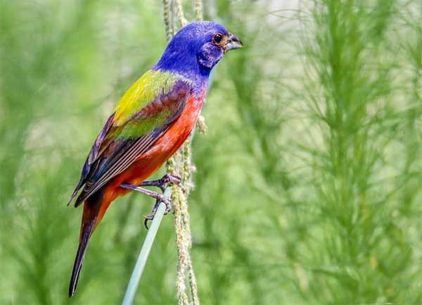 Ai sinh ngày Âm lịch này liên tục đón may mắn, nhận tin vui, cuối năm 2022 mọi sự hanh thông-1