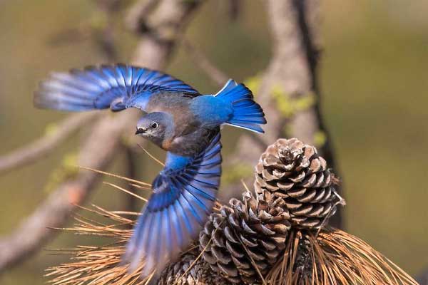 Ai sinh ngày Âm lịch này liên tục đón may mắn, nhận tin vui, cuối năm 2022 mọi sự hanh thông-2