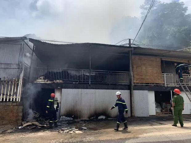 Cháy lớn nông trại cún Puppy Farm nổi tiếng ở Đà Lạt-1