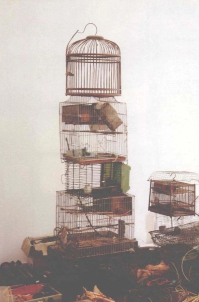 Cụ bà thích nhặt đồ cũ chất thành núi vì một chấp niệm thuở nhỏ, 50 năm sau mở triển lãm trong nước lẫn quốc tế-14