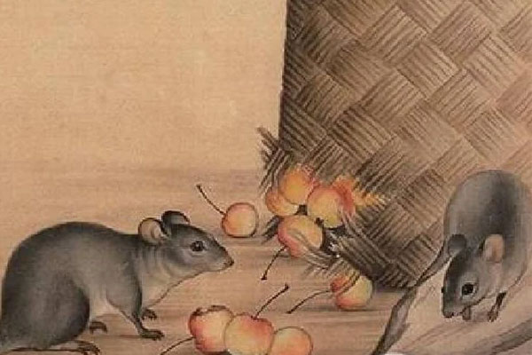 3 tuổi này tình tiền đỏ thắm: Tháng 9 phát tài, tháng 10 thành đại gia-2