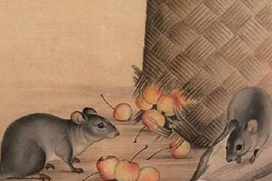 Ngọc Hoàng chỉ mặt: 4 tuổi tiền vào như nước năm 2023,1 tuổi đại lộc mua nhà tậu xe dễ như trở bàn tay