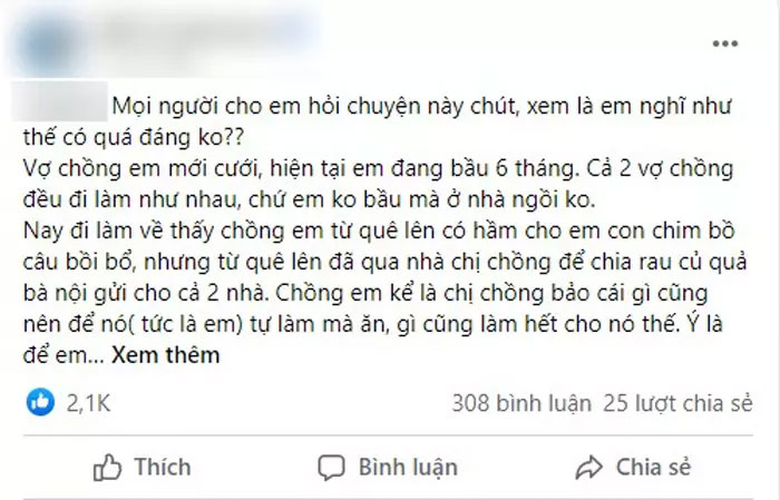Mang bầu 6 tháng, em dâu ăn con ghẹ cũng bị chị chồng soi mói-1