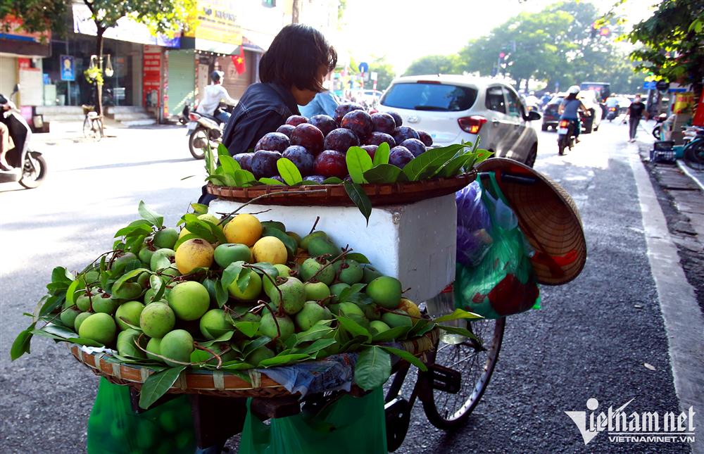 Quả cổ tích bán rong khắp phố, chủ hàng thu chục triệu mỗi ngày-5