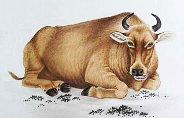 Những con giáp nào sẽ có vận may tốt nhất và kiếm được nhiều tiền trong năm 2023?-3