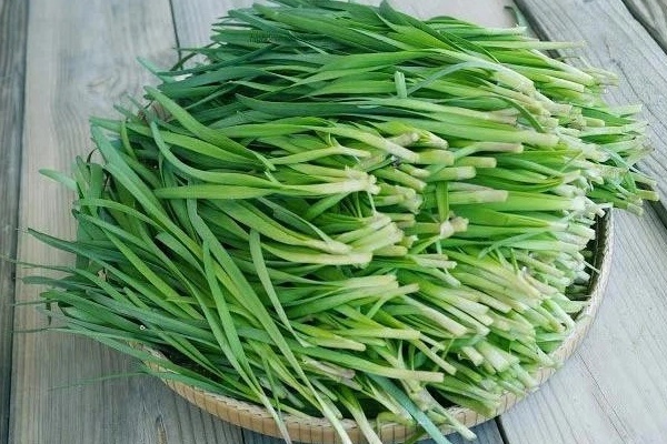 Những loại rau ‘bổ hơn thịt, rẻ hơn thuốc’ bán đầy ngoài chợ, nhiều người không biết mà ăn-2