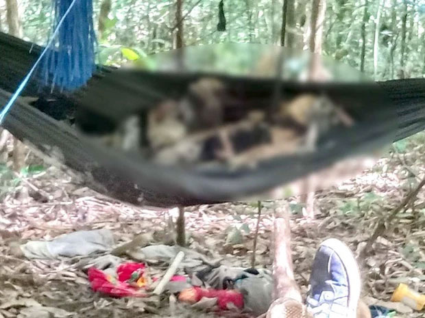 Tá hoả phát hiện 2 thi thể chỉ còn xương trên võng trong rừng-1