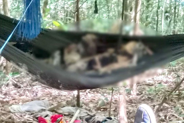 Hai bộ xương khô trên võng mắc trong rừng: Hiện trường hiểm trở, phát hiện nhiều đồ cá nhân-4