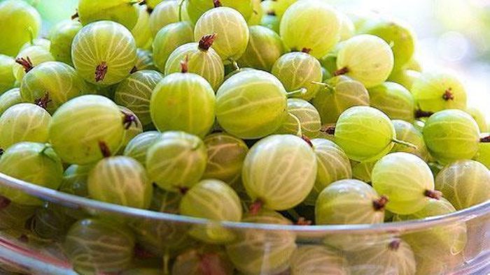 4 loại quả kỳ dị nhất thế giới, 1 quả ở Việt Nam mọc đầy-1