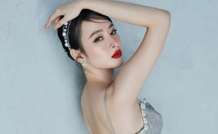 Những mỹ nhân Việt từng bị tuýt còi sau lần ăn mặc hớ hênh-4