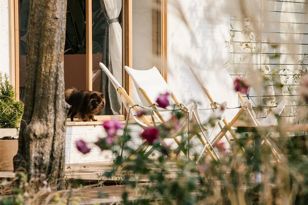 Nhà riêng của Blackpink có gì? Góc bếp hiện đại, phòng tắm chanh sả, thêm phòng ngủ khiến con dân mê mẩn-5