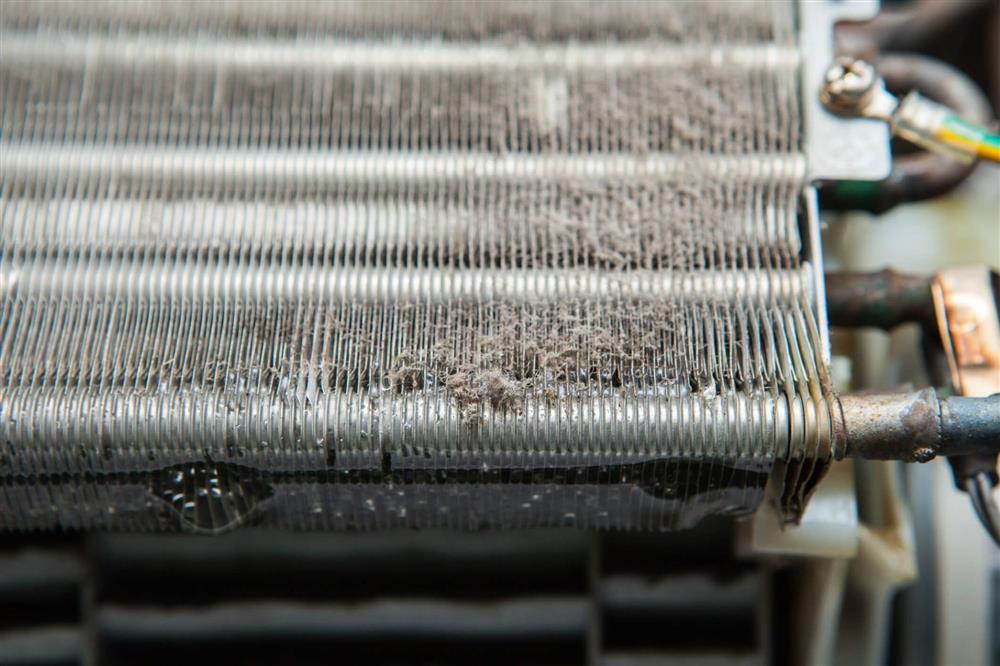 Nấm mốc trong điều hòa không khí: Cách phát hiện và xử lý hiệu quả-2