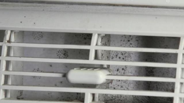 Nấm mốc trong điều hòa không khí: Cách phát hiện và xử lý hiệu quả-3