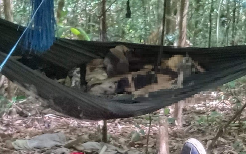 Thêm nhiều tình tiết mới ở hiện trường phát hiện 2 bộ xương khô bí ẩn giữa rừng sâu-1