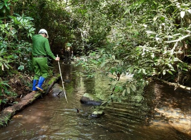 Vụ 2 bộ xương người trong rừng ở Gia Lai: Tìm thấy hiện vật mang tính tâm linh tại hiện trường-3
