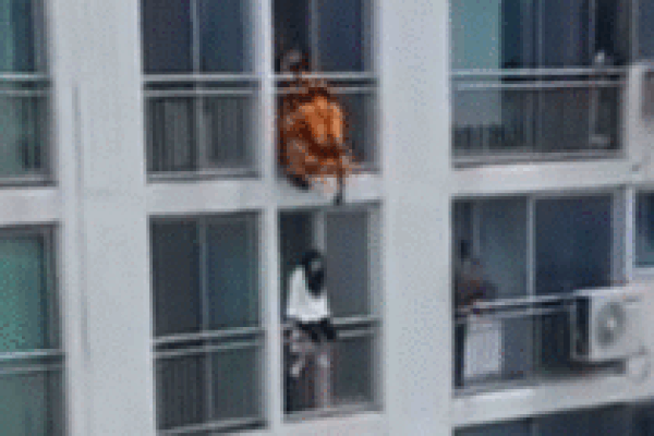 Khoảnh khắc cô gái nhảy lầu và cái kết-1