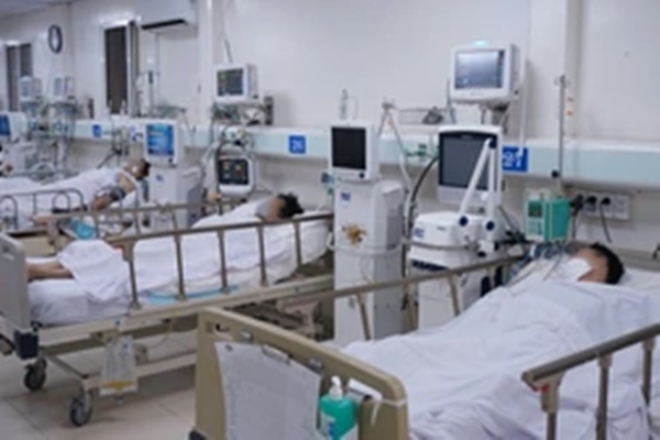 Uống rượu thuốc tự ngâm, người tử vong, người nguy kịch-2