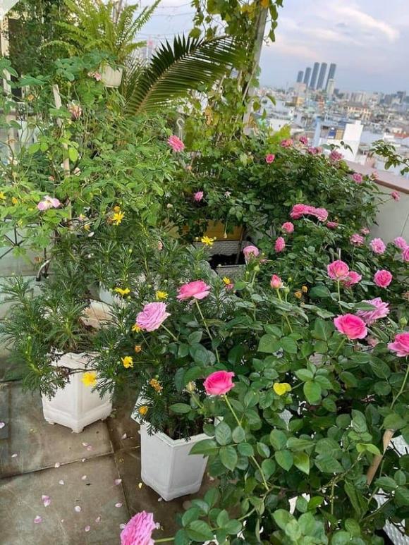 Choáng với nhà Khánh Thi - Phan Hiển: Ngay mặt tiền đường đắt đỏ, trung tâm dạy nhảy xịn xò và khu vườn trên cao đắt giá-7