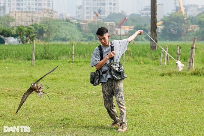 Dân chơi ở Hà Nội chi chục triệu nuôi loài chim trinh sát trên không-3